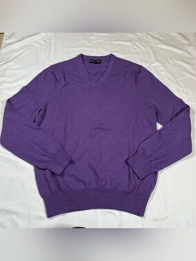 Express Sweater‎ Mens M Purple 100% Italian  Merino Wool Pullover